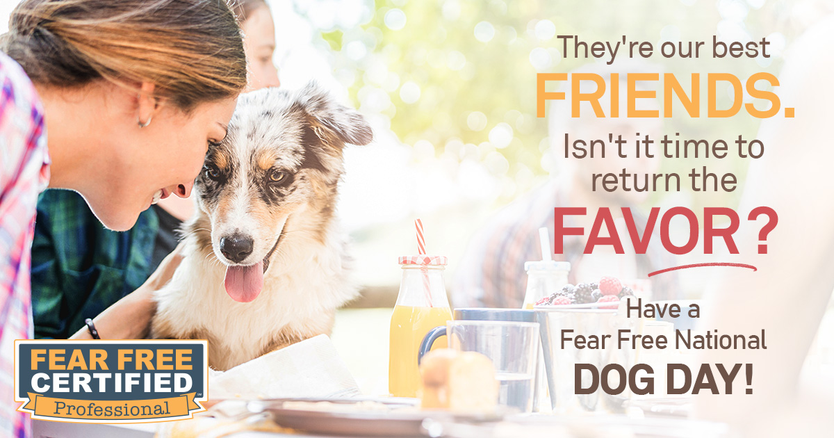 fear free dog day banner