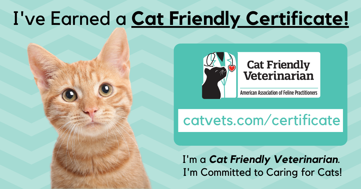Cat Friendly banner