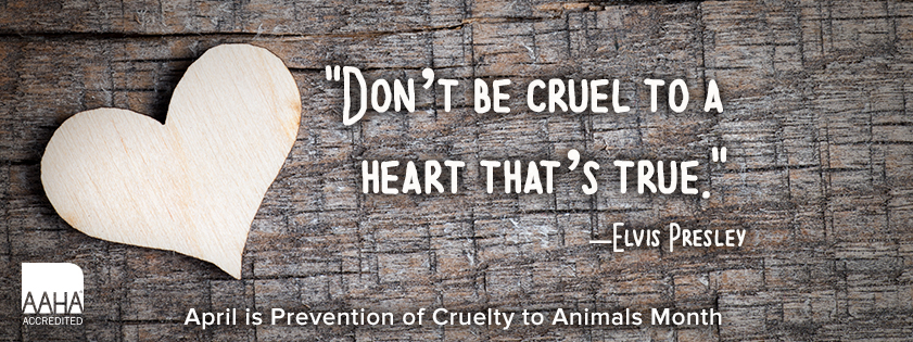cruelty prevention banner