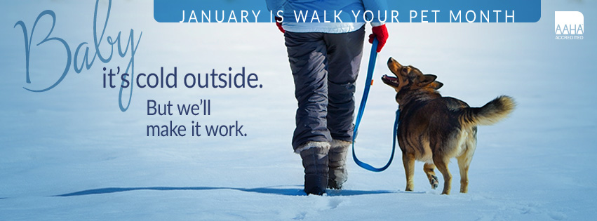 walk your pet month banner