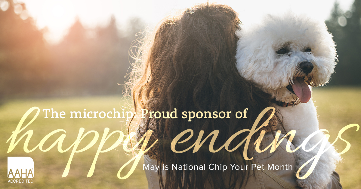 chip your pet banner