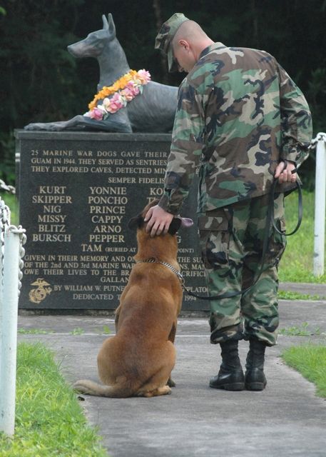 memorial day banner