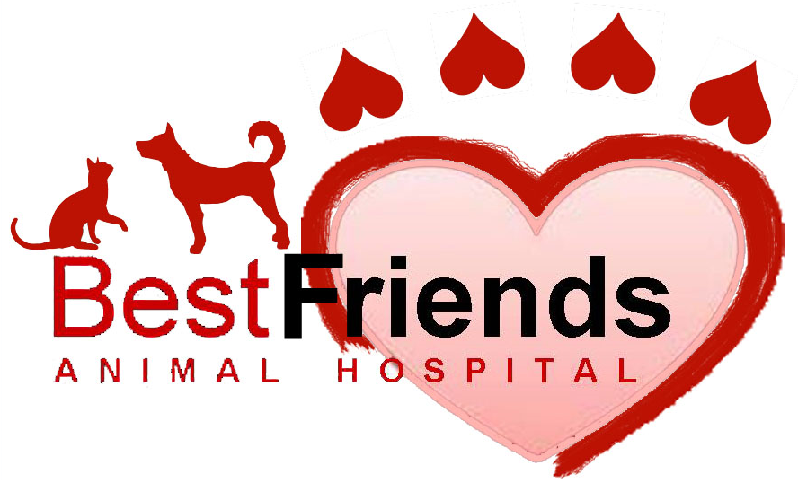 Best Friends Animal Hospital Logo